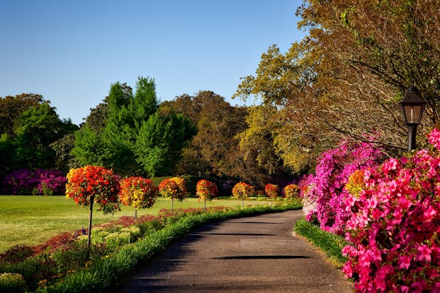 Gartenpflege Premium